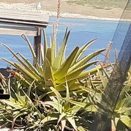 Casa Capo Falcone - Terraced House With Wonderful Sea View - 스틴티노