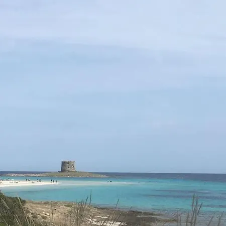 Casa Capo Falcone - Terraced House With Wonderful Sea View - 펜션