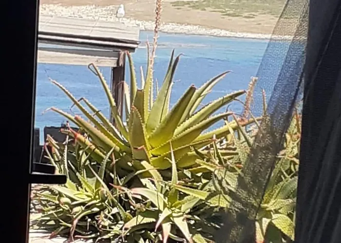 Casa Capo Falcone - Terraced House With Wonderful Sea View - Stintino